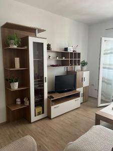 una sala de estar con un centro de entretenimiento con TV en Apartment Davor, en Gradac