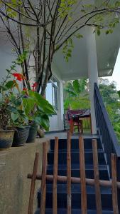Balkón nebo terasa v ubytování The Bliss Homestay