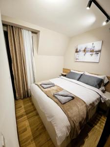 Postelja oz. postelje v sobi nastanitve Borovi Deluxe Suite