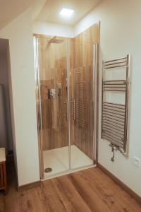 una ducha con puerta de cristal en un baño en Apartmán Rustikal, en Trstěnice