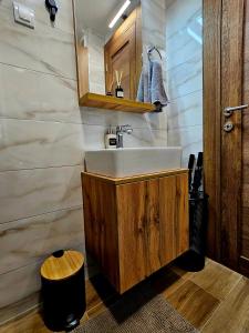 Kopalnica v nastanitvi Borovi Deluxe Suite
