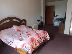 ein Schlafzimmer mit einem Bett mit einer rosa Decke in der Unterkunft El paraíso in Guadalajara
