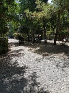 un parc avec des arbres et des tables de pique-nique à l'ombre dans l'établissement Oriental Park, à Rossano