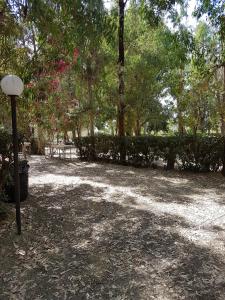 einen Park mit einer Bank, Bäumen und einer Lampe in der Unterkunft Oriental Park in Rossano