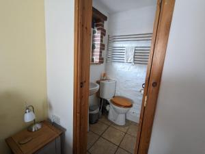 a small bathroom with a toilet and a sink at Immaculate 1-Bed Cottage in Bideford in Bideford