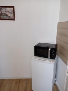 a microwave sitting on top of a refrigerator at Stella's Monteurswohnungen in Crimmitschau