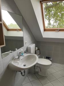 a bathroom with a sink and a toilet at Landhaus am Loh in Wesel