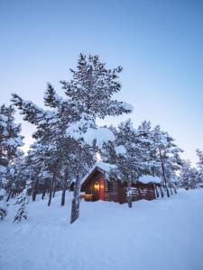 een blokhut in de sneeuw met bomen bij Sjodalen Hyttetun og Camping in Stuttgongfossen