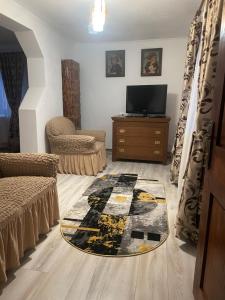 - un salon avec une télévision et un tapis au sol dans l'établissement Casa Roșca, 