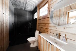 ein Badezimmer mit einem WC, einem Waschbecken und einem Spiegel in der Unterkunft Villa Northern Lights by DG Lomailu, Lapland, Finland in Kyrö
