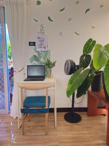 einen Schreibtisch mit einem Laptop auf einem Tisch mit einer Pflanze in der Unterkunft Bushis Crib Staycation Farmhouse in Panubigan