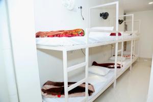 Gallery image of Charlie's Hostel By Purple India in New Delhi