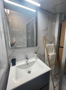 ein Badezimmer mit einem weißen Waschbecken und einem Spiegel in der Unterkunft Appartement Axelle in Blankenberge