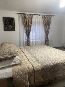 - une chambre avec un lit et une fenêtre avec des rideaux dans l'établissement Casa Roșca, 