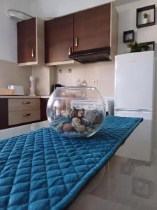 Kuchyňa alebo kuchynka v ubytovaní Artemisia Apartment