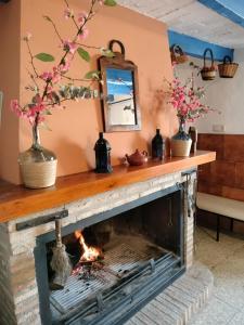 a fireplace with flowers in vases on top of it at Casa Celia in Miranda del Rey