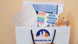 zwei Kisten gefüllt mit Büchern und einem Teddybär in der Unterkunft Apartament Callatis in Mangalia