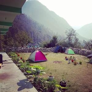 zwei Zelte auf einem Feld mit einem Berg im Hintergrund in der Unterkunft Vigyan Guest house katagla kasol in Kasol
