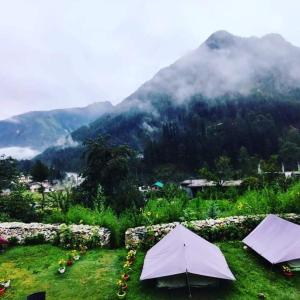 zwei Zelte auf einem Feld mit einem Berg im Hintergrund in der Unterkunft Vigyan Guest house katagla kasol in Kasol