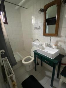 y baño con lavabo, aseo y espejo. en Magyar Lovasvendégház, en Szilvásvárad