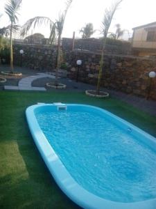 a large blue swimming pool in a yard with palm trees at Villa Gusmano in Piedimonte Etneo