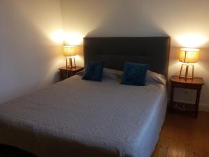 a bedroom with a bed with blue pillows and two lamps at les Ormes de Belluire in Belluire