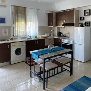 Kuchyňa alebo kuchynka v ubytovaní Artemisia Apartment + 6 fotografií