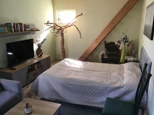 Waldblick في Tannenberg: غرفة نوم بسرير وتلفزيون وأريكة