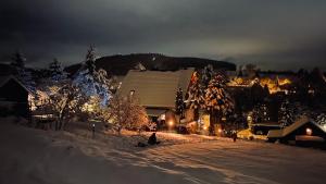 Una casa en la nieve por la noche con luces de Navidad en Waldblick, en Tannenberg