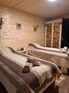 2 łóżka w pokoju z drewnianymi ścianami w obiekcie Cabana Alpha w mieście Baia Mare