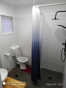 a bathroom with a toilet and a shower stall at Amir's Apartments in Tel Aviv