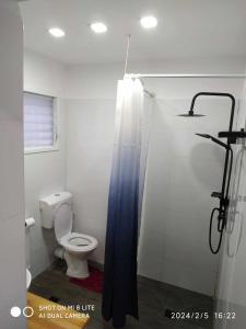 a bathroom with a toilet and a blue shower curtain at Amir's Apartments in Tel Aviv