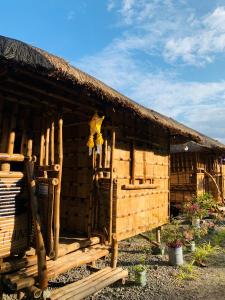 Zahrada ubytování D Sanctum Resort