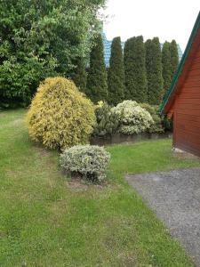 un patio con una fila de arbustos y una casa en Domki całoroczne u Eli, en Szczyrk