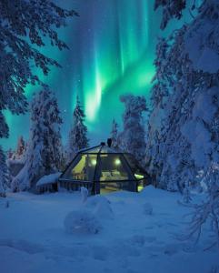 een iglo in de sneeuw onder het poollicht bij Syöte Igloos in Syöte