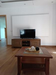 TV a/nebo společenská místnost v ubytování Residência Águia