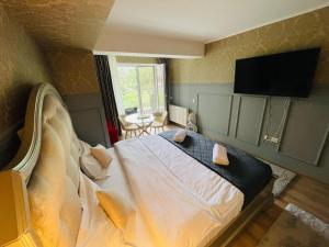 um quarto com uma cama e uma televisão de ecrã plano em Airplane Residence 1 em Otopeni