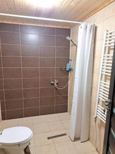 a bathroom with a shower with a toilet at Cabana Alpha in Baia Mare