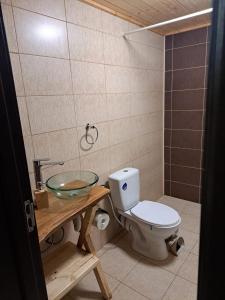a bathroom with a toilet and a glass sink at Cabana Alpha in Baia Mare