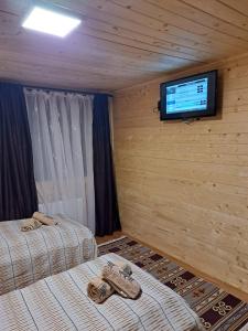 1 dormitorio con 2 camas y TV de pantalla plana en Cabana Alpha en Baia Mare