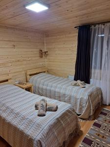 two beds in a room with wooden walls at Cabana Alpha in Baia Mare