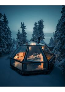 a glass house in the middle of a snow covered forest at Syöte Igloos in Syöte