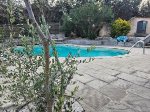 una piccola piscina in un cortile con un albero di Guest house calme avec accès jardin et piscine a Flayosc