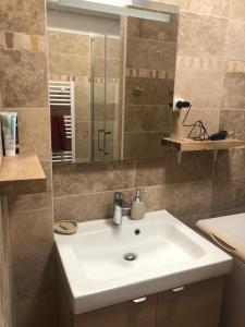 ein Badezimmer mit einem weißen Waschbecken und einem Spiegel in der Unterkunft Charmant Appartement 3 chambres - JO Paris 2024 in Colombes