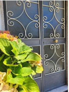 a door with a plant in front of it at Luna D'Agerola in Agerola