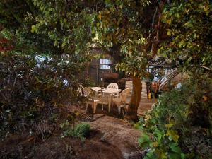 a patio with a table and chairs under a tree at LUNA in Comodoro Rivadavia