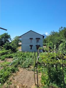 una casa en medio de un campo de cultivos en Luna D'Agerola, en Agerola