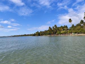 vistas a una playa con palmeras y agua en Las Pascualas Samana Condo Townhouse, en Santa Bárbara de Samaná