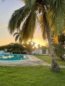 una palmera junto a una piscina en Las Pascualas Samana Condo Townhouse, en Santa Bárbara de Samaná