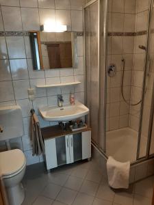 a bathroom with a sink and a shower and a toilet at Ferienwohnung am Kapellenberg - am Rande des Nationalparks Schwarzwald in Bad Peterstal-Griesbach